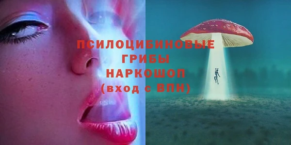 гашик Алексеевка