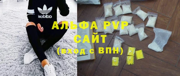 гашик Алексеевка
