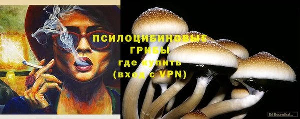 гашик Алексеевка